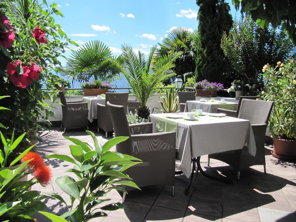 Balcony/Terrace, Garden view