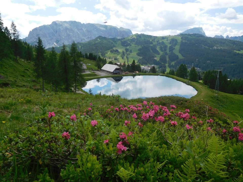 Hiking