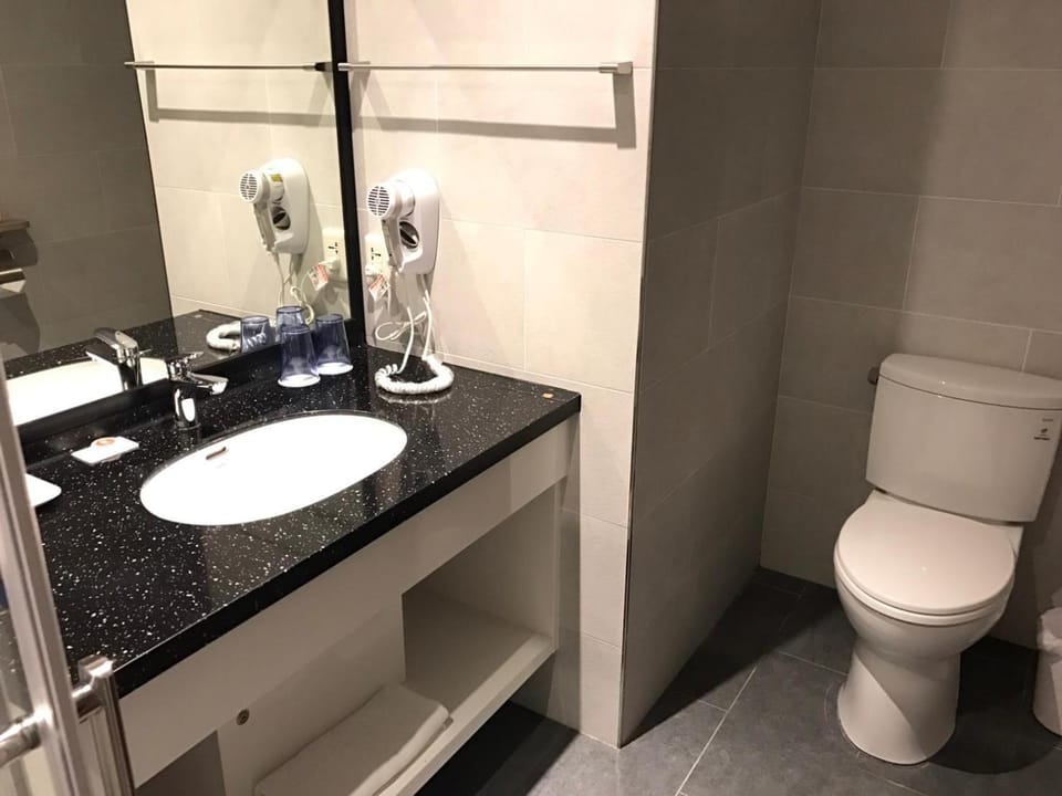Toilet, Bathroom