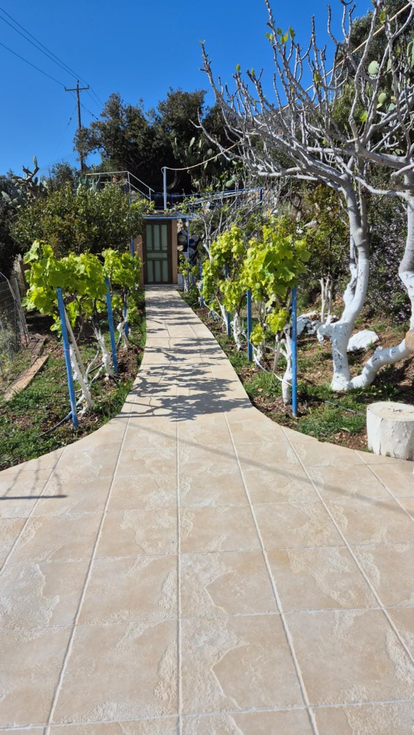 Villa Anna Villa in Kalymnos