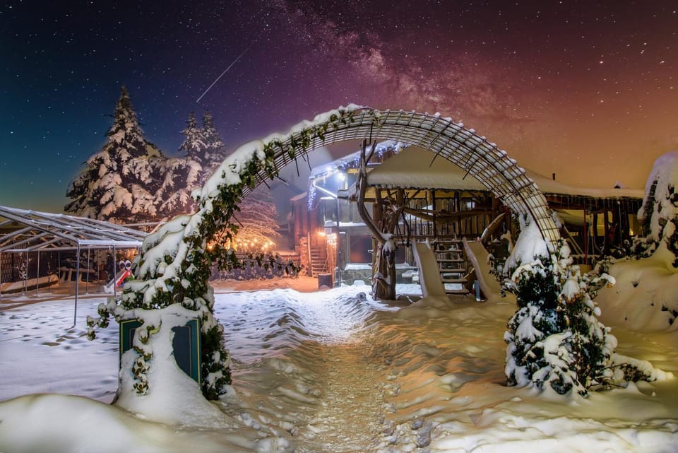 Night, Winter, Garden