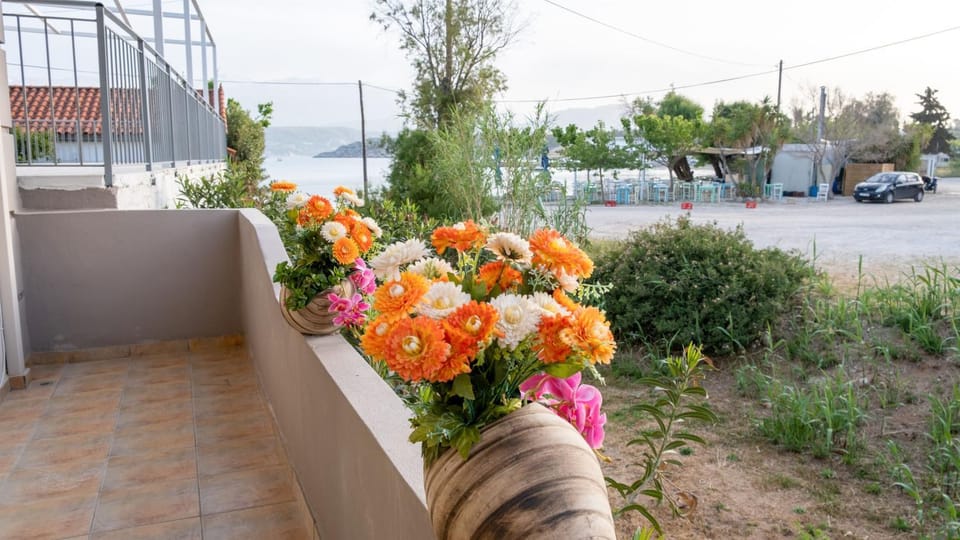 Garden, Balcony/Terrace