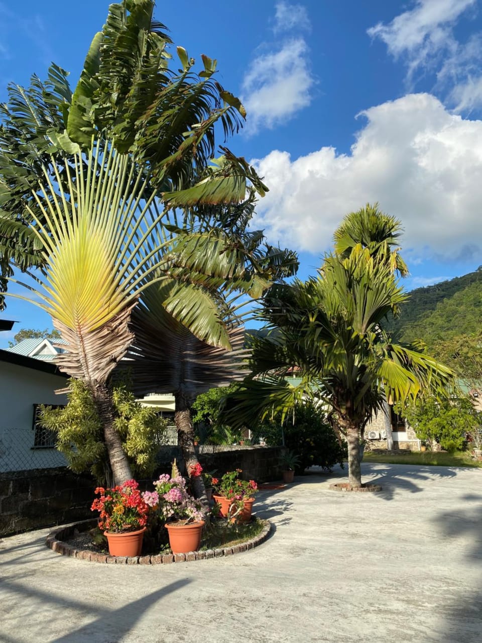 Flower Garden Self-Catering Apartments Apartment in Africa