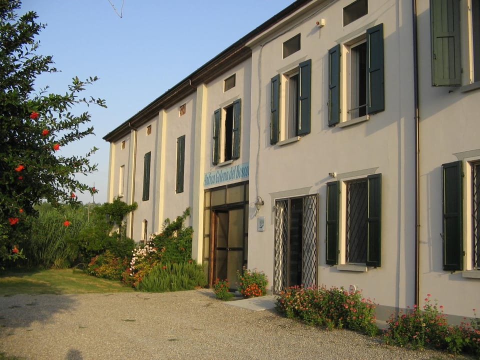 Property building, Garden