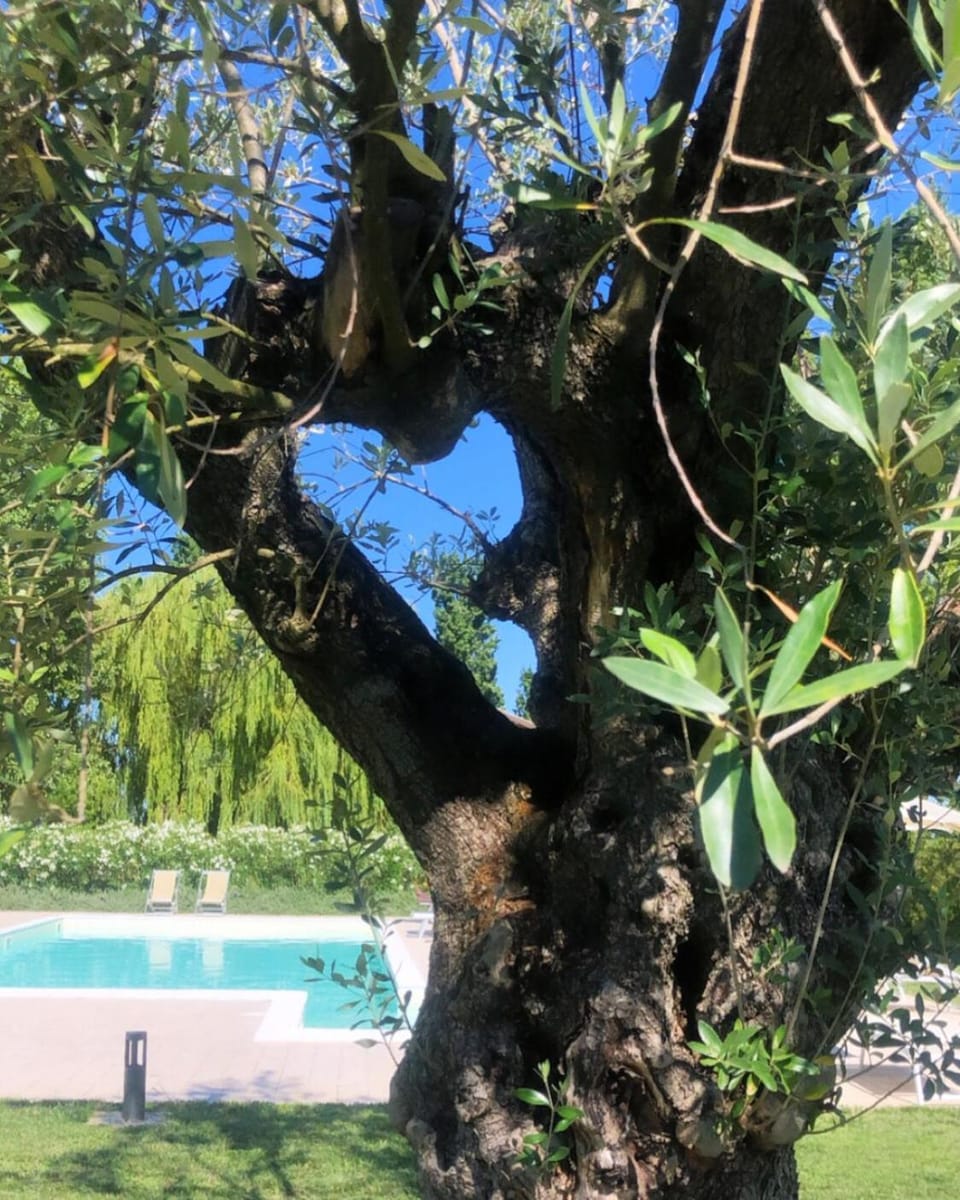 Agriturismo I Bosconi Farm Stay in Cesena