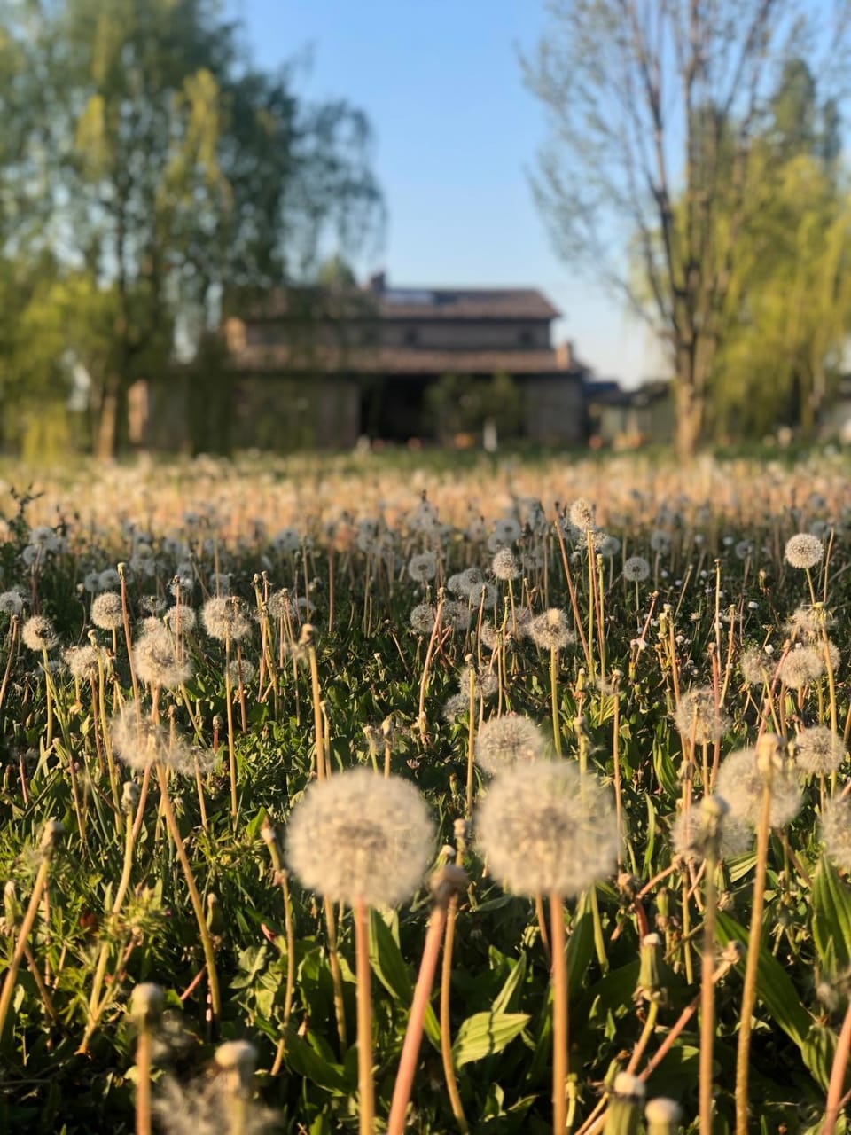 Agriturismo I Bosconi Farm Stay in Cesena