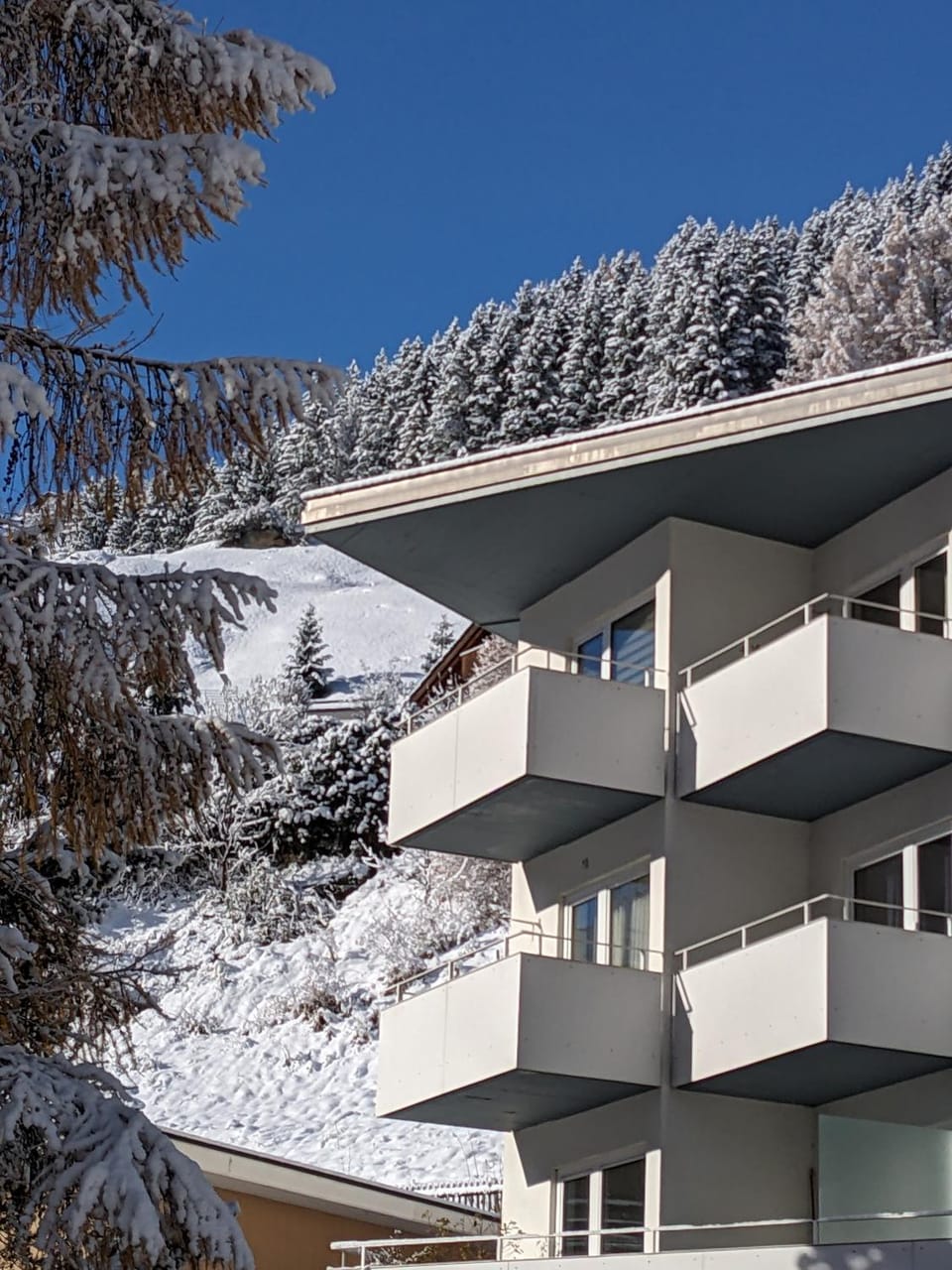 Haus Zervreila Apartment in Vals