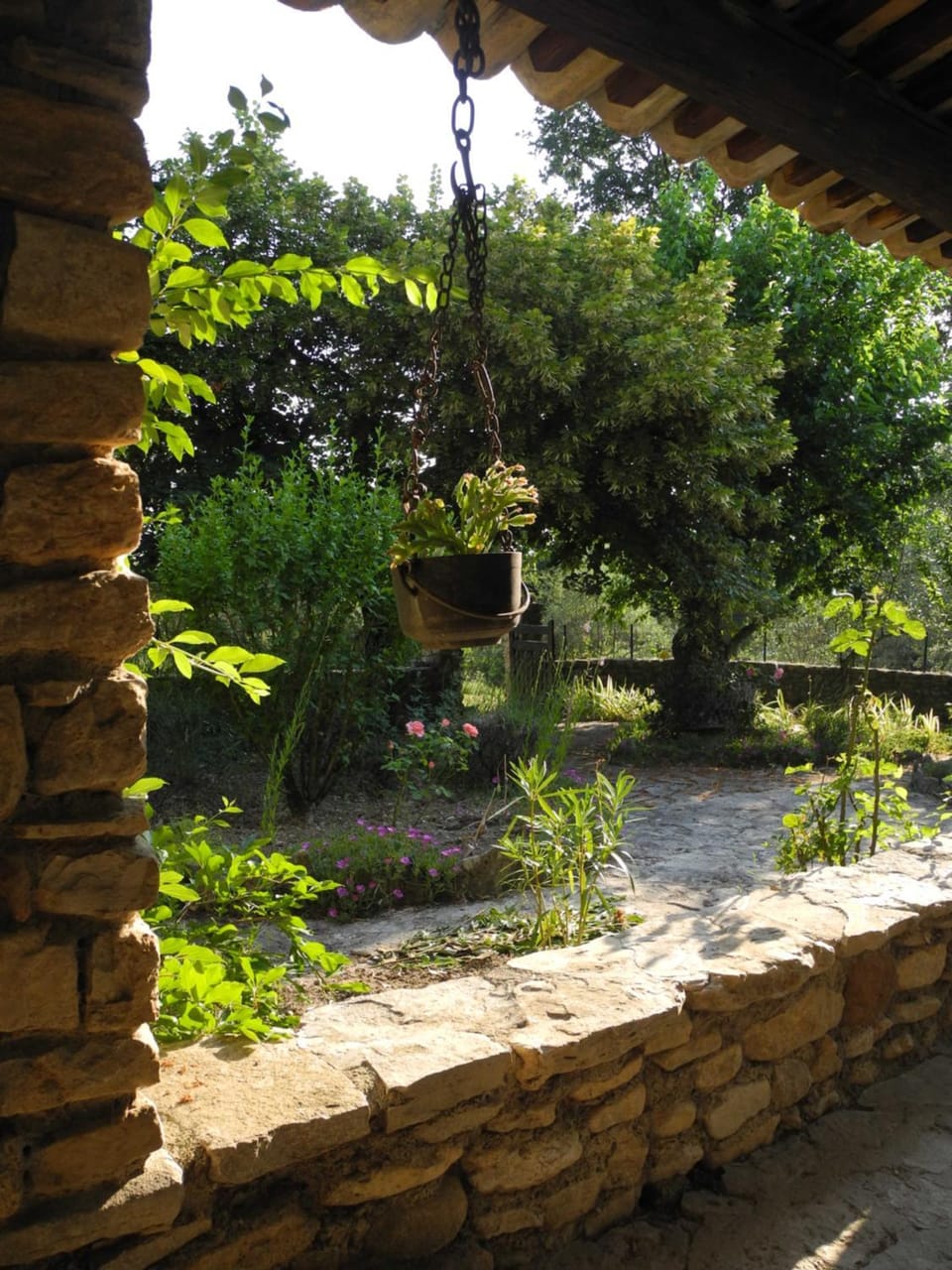 Garden, Balcony/Terrace