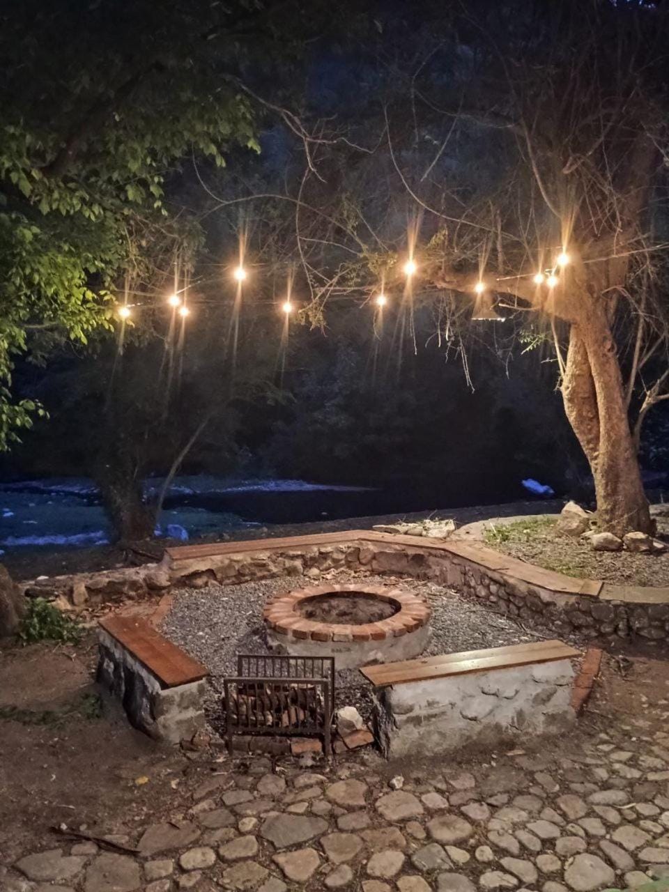 Patio, Off site, Night, Natural landscape, Garden view