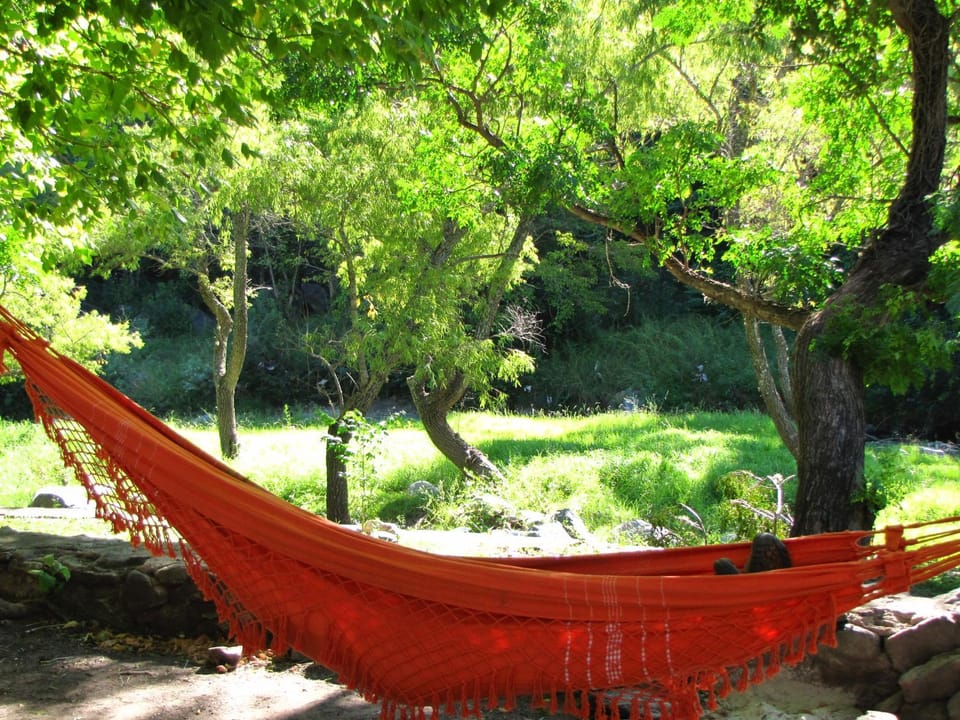 Garden, River view