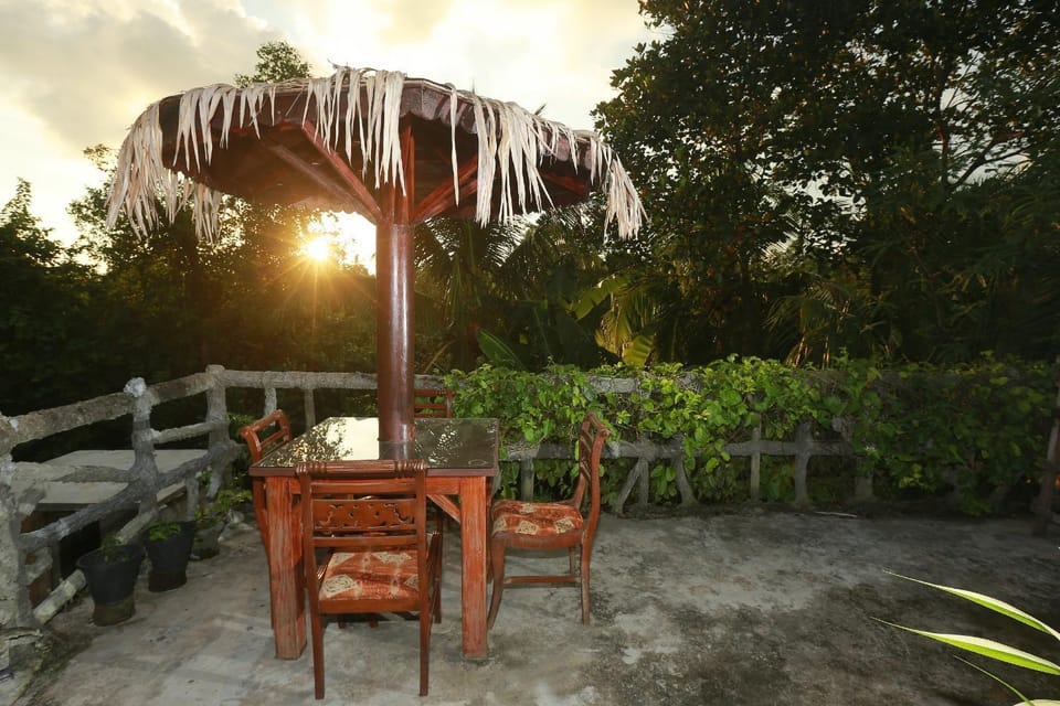 Garden view