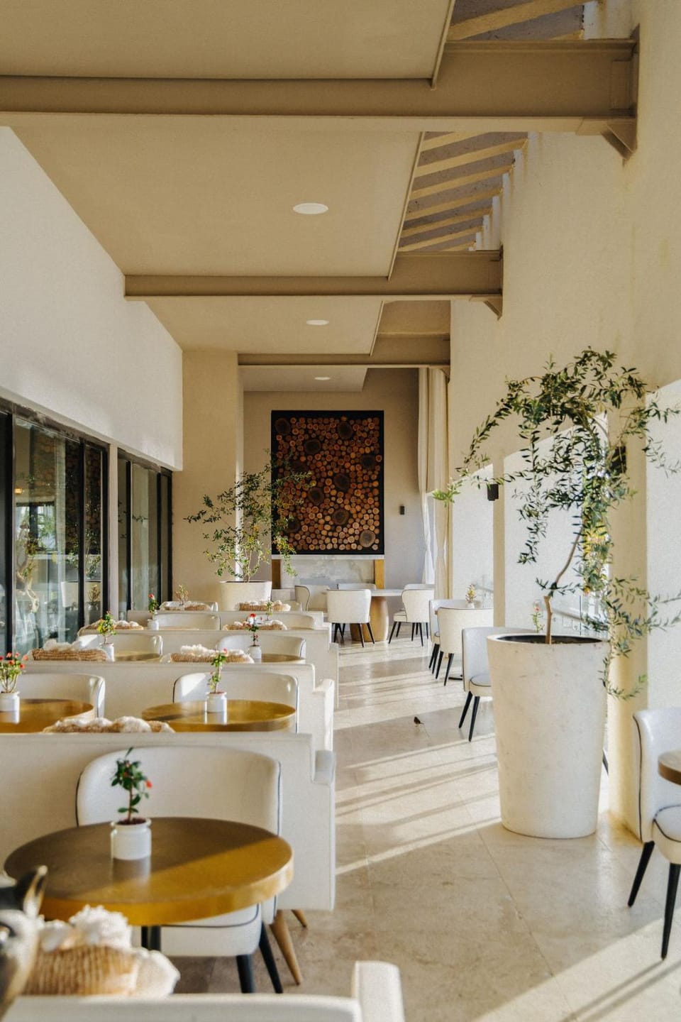 Restaurant/places to eat, Dining area