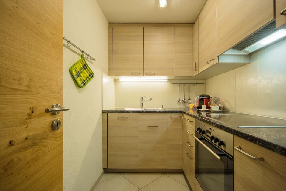Kitchen or kitchenette, Photo of the whole room, dishwasher, minibar, pet friendly, stove