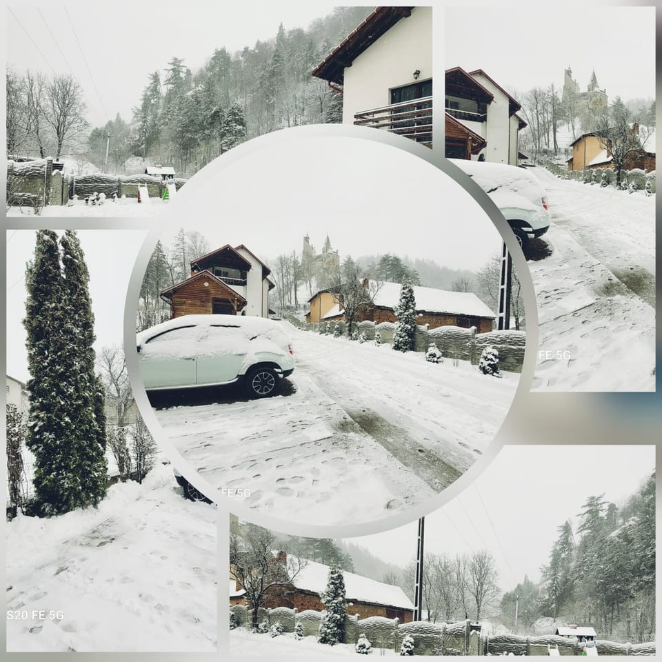 Winter, Garden, Parking