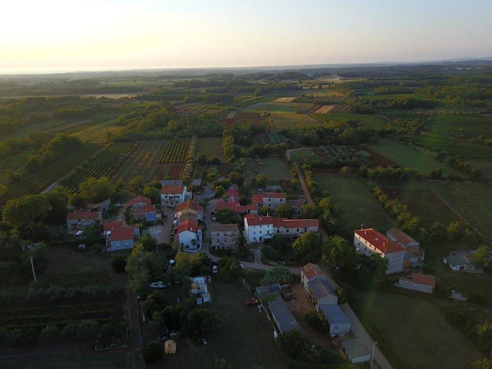 Neighbourhood, Bird's eye view