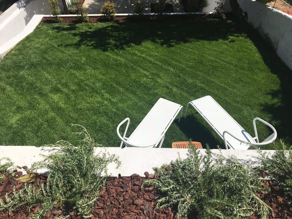 Garden, Garden, Swimming pool, Swimming pool