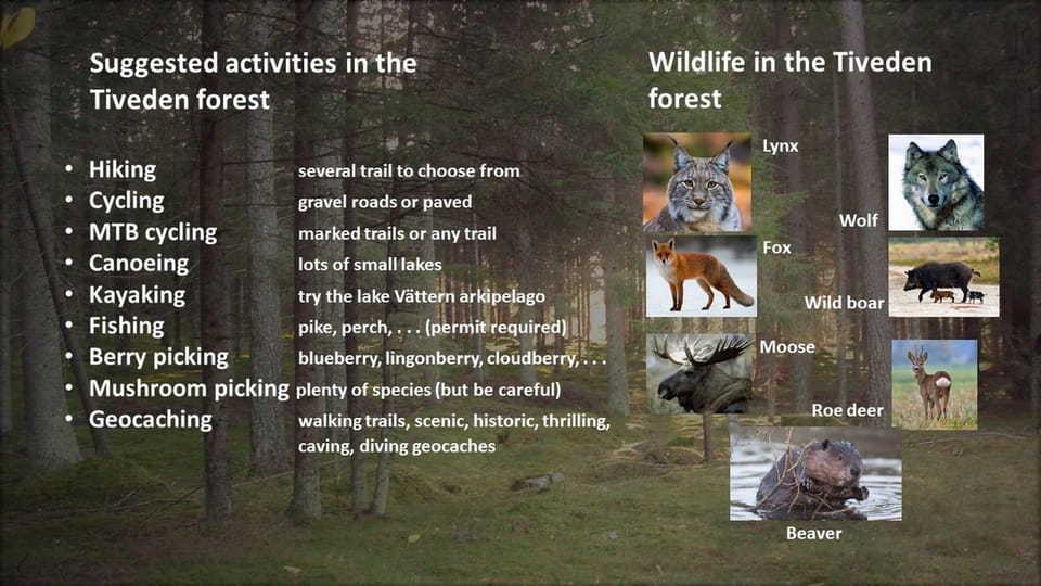 Activities, Activities, Fishing, Fishing, Canoeing, Canoeing, Hiking, Hiking, Cycling, Cycling, Diving, Diving, Animals