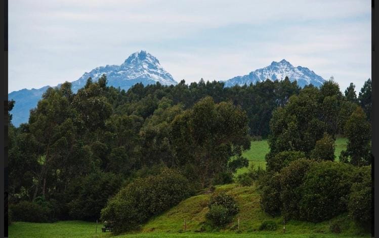 Natural landscape