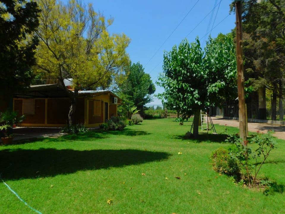 Property building, Natural landscape, Garden, Garden view