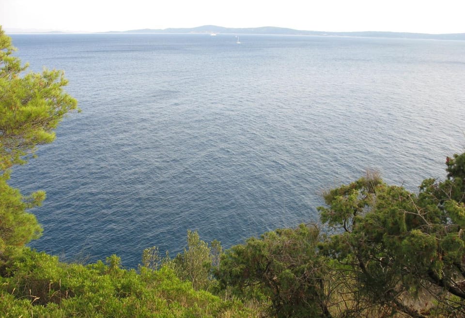 Natural landscape