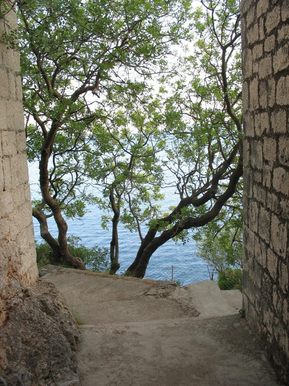 Natural landscape