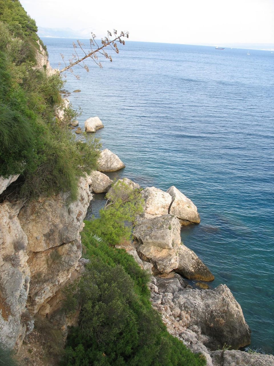 Natural landscape