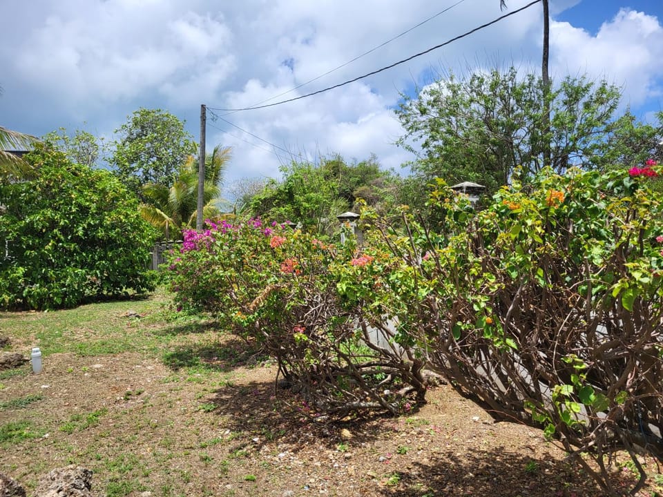 Garden, Garden view