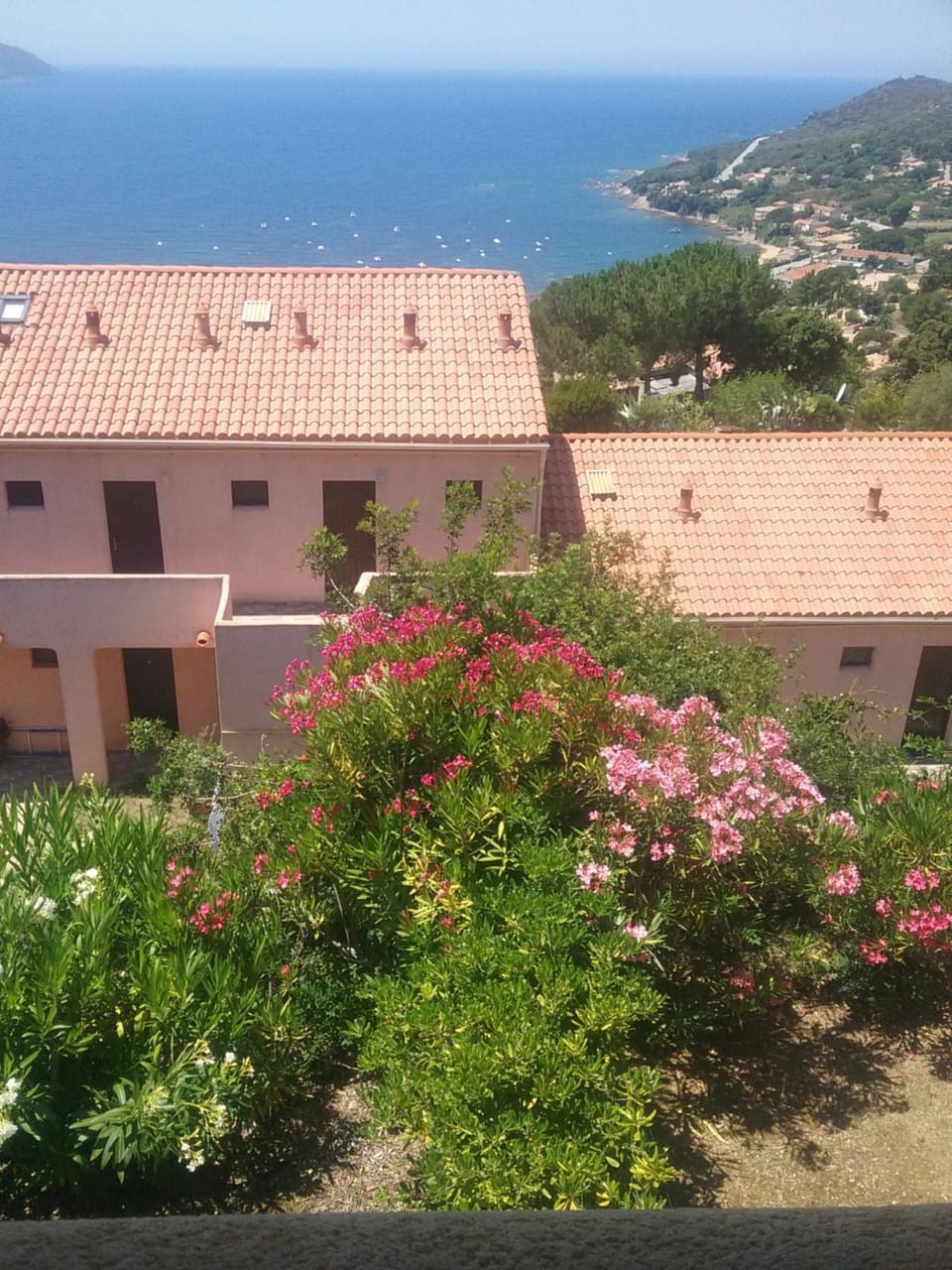 Property building, Bird's eye view