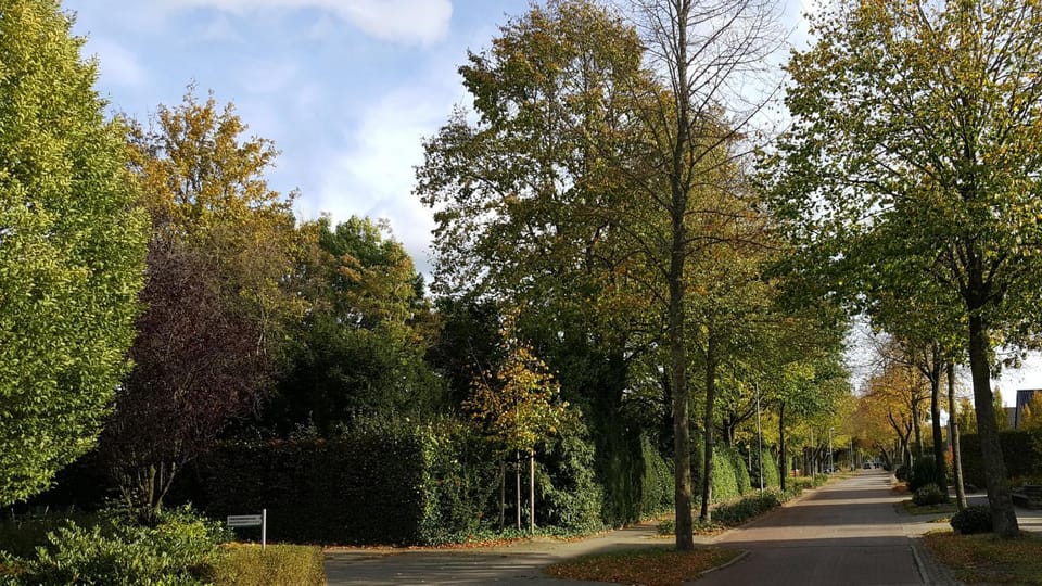 Neighbourhood, Street view