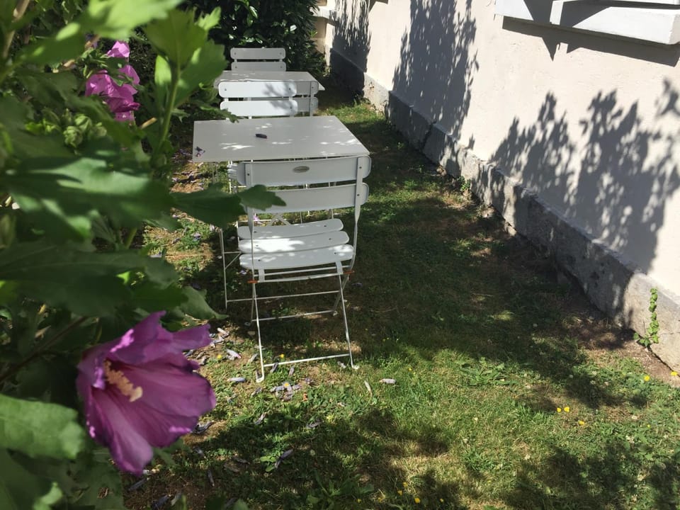 Patio, Garden