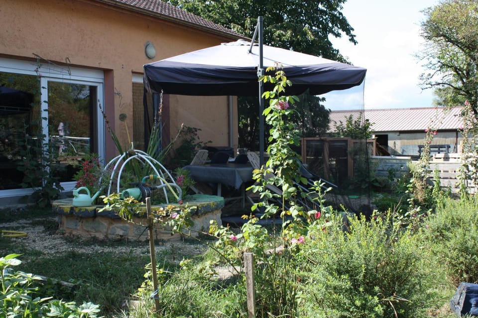 Patio, Summer, Garden, Balcony/Terrace, Garden view