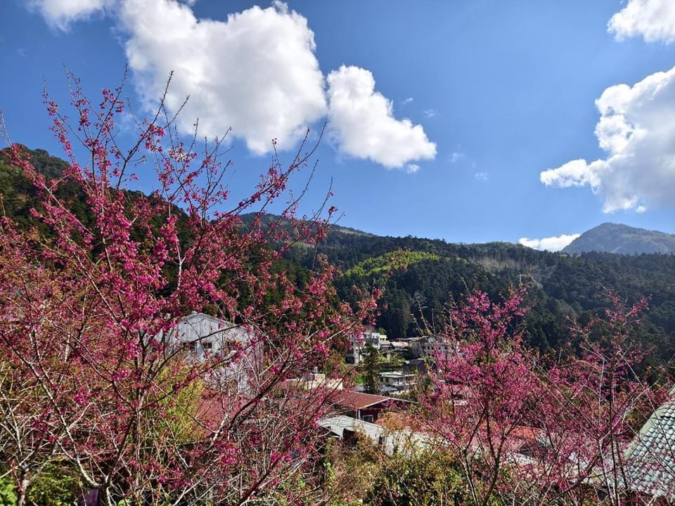 奮起湖車站 揚揚老街民宿 Bed and Breakfast in Taiwan, Province of China