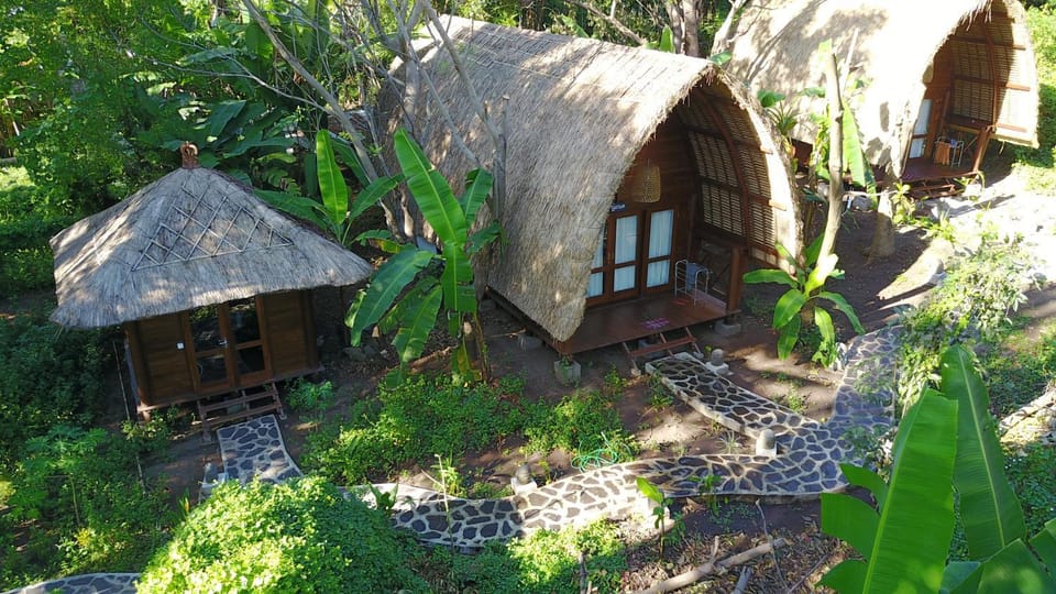 Property building, Garden view