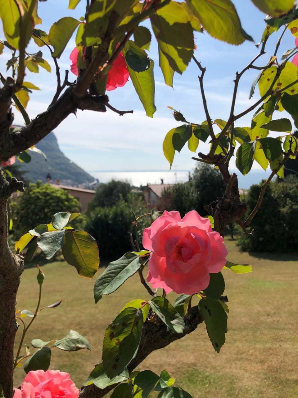 Welcome Traveller VILLA LEDA Apartment in Garda