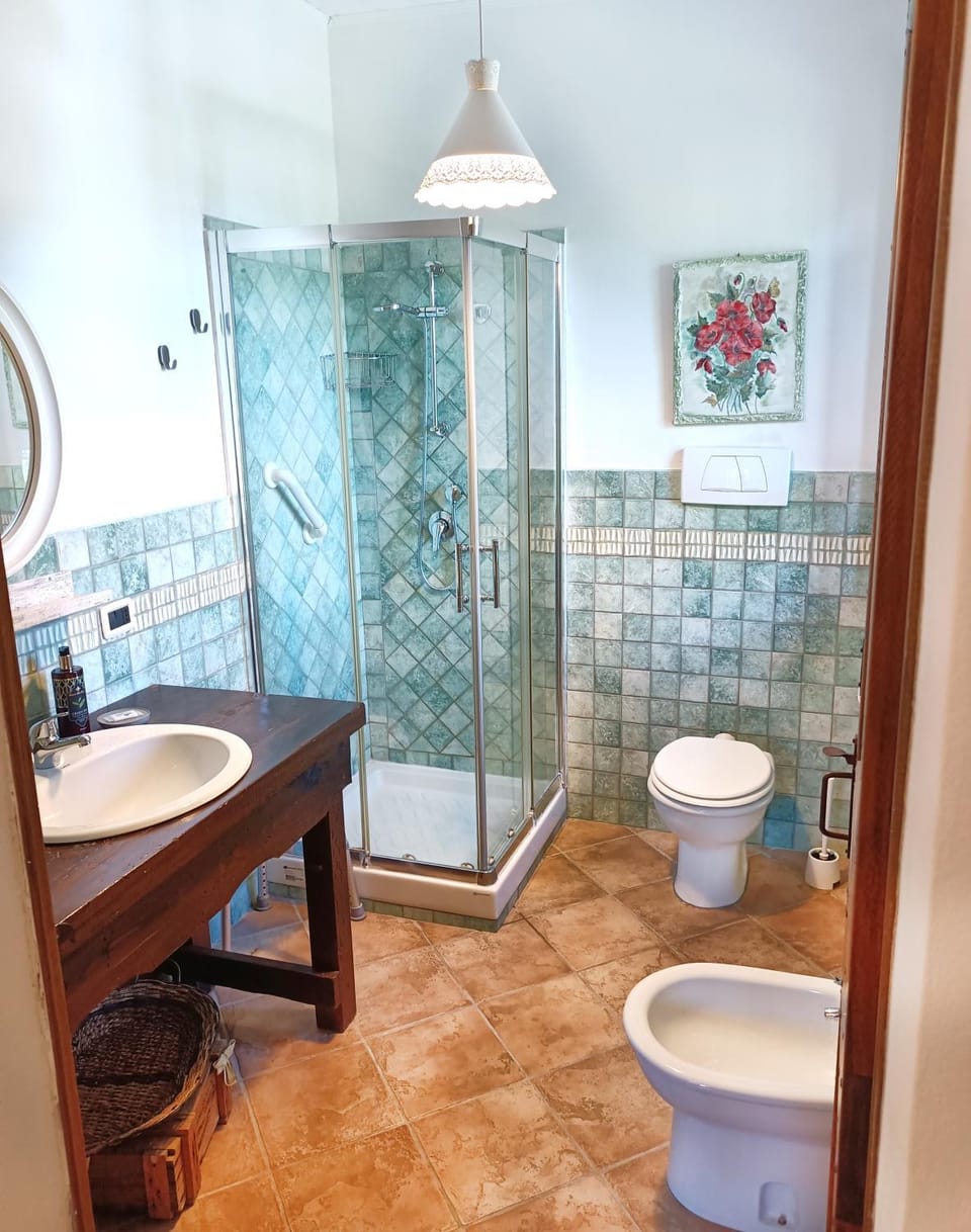 Shower, Toilet, Bathroom, bidet