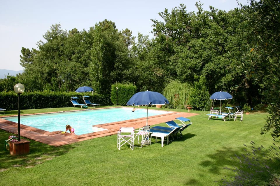 Garden, Swimming pool, Swimming pool