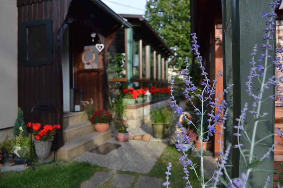 Penzion Pod Rozhlednou Bed and Breakfast in Sächsische Schweiz-Osterzgebirge
