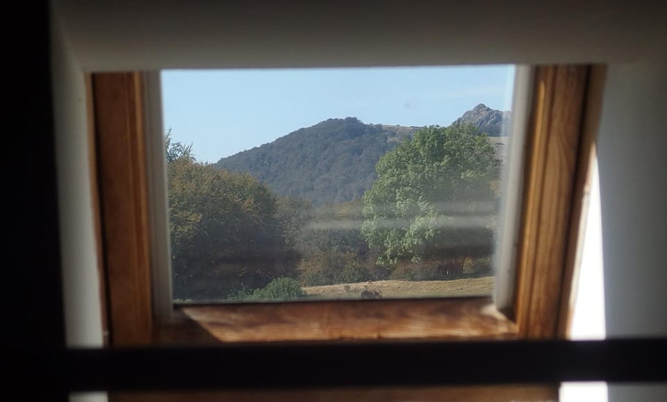View (from property/room)