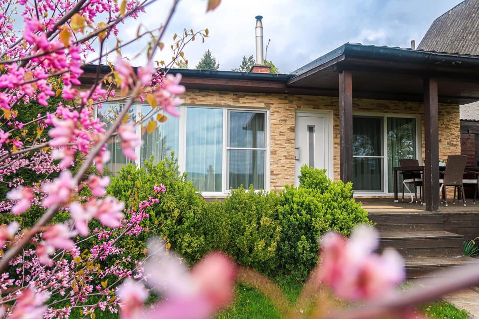 Property building, Patio, Spring, Day, Garden, Garden view