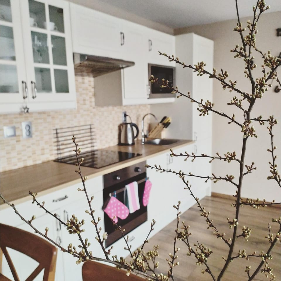 Kitchen or kitchenette, Dining area, minibar, pet friendly, stove