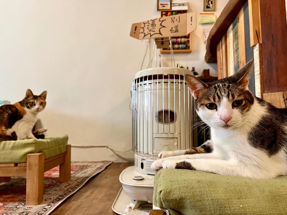 Pets
