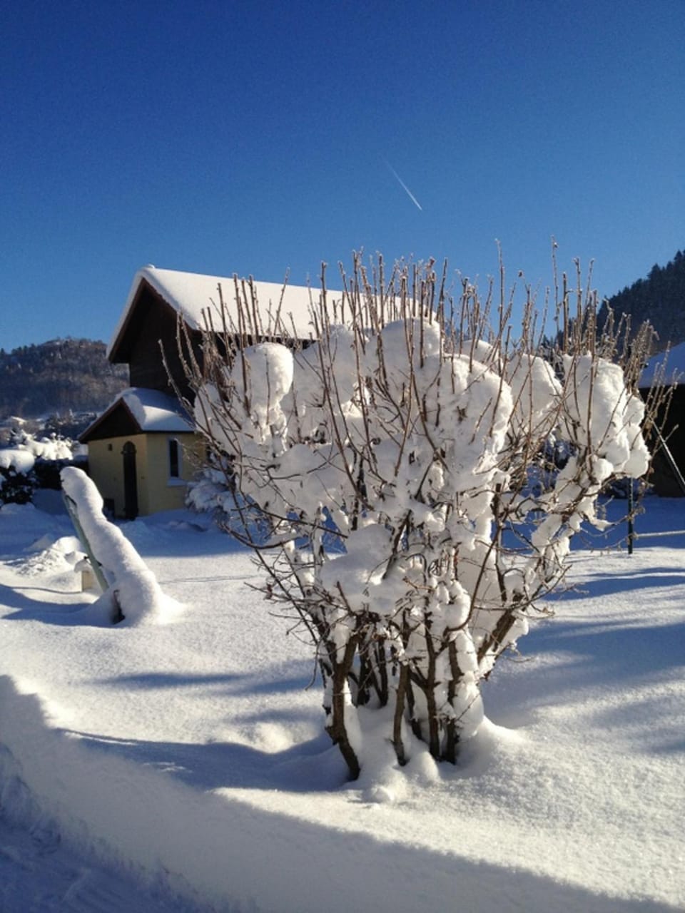 Day, Winter