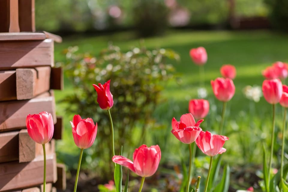 Natural landscape, Garden, Area and facilities