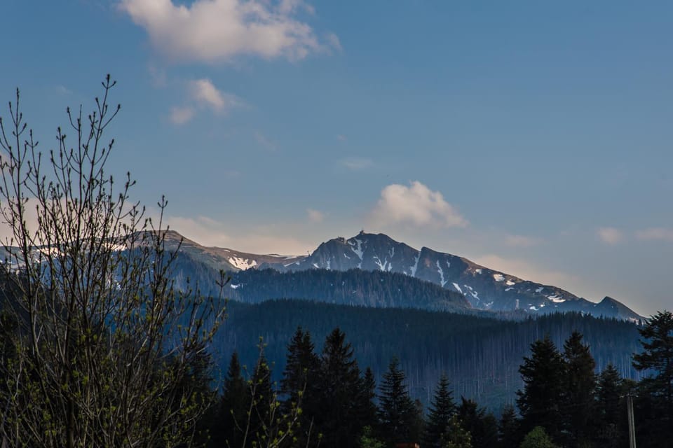 Mountain view