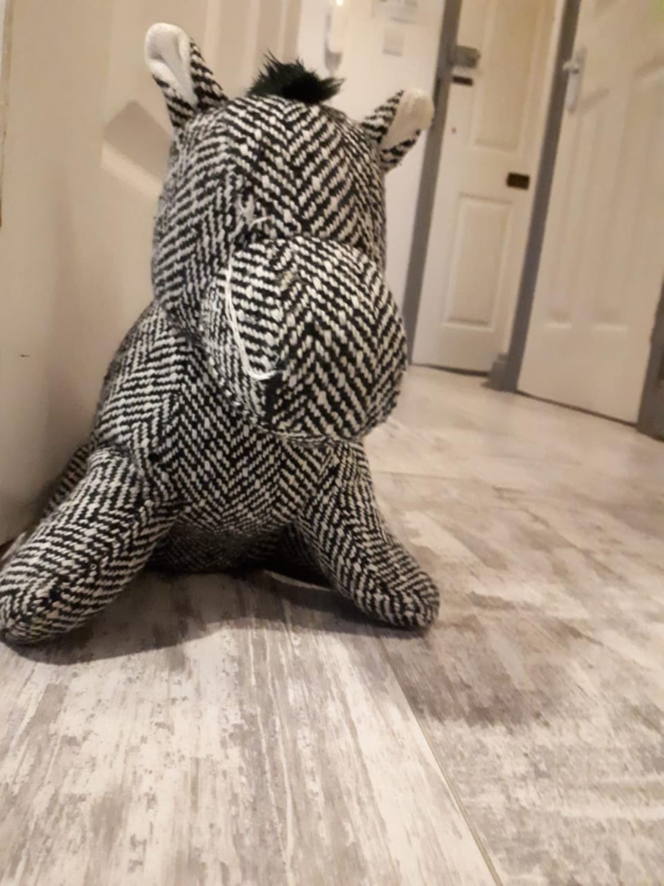 The Willows Apartment in Crawley