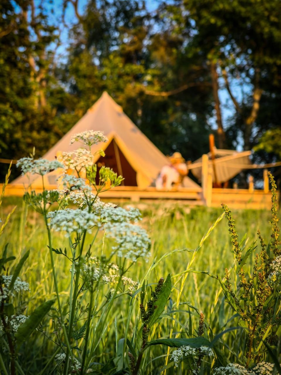 Andělský Dvůr Bed and Breakfast in South Bohemian Region