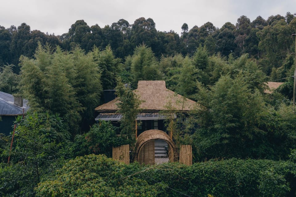 Davinci Gorilla Lodge Nature lodge in Africa