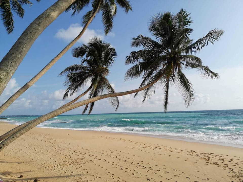 Akurala Beach Park Bed and Breakfast in Southern Province