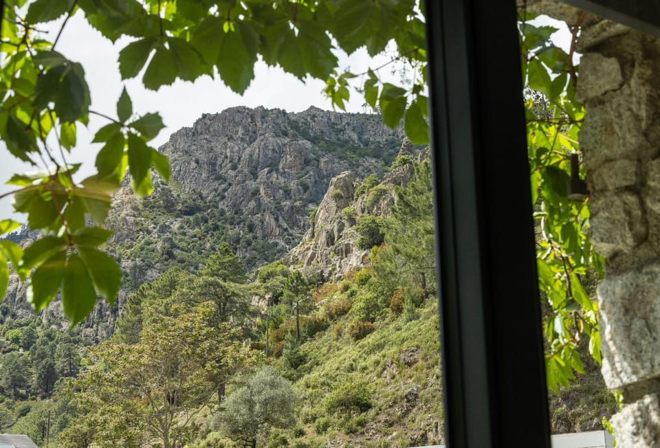 Mountain view