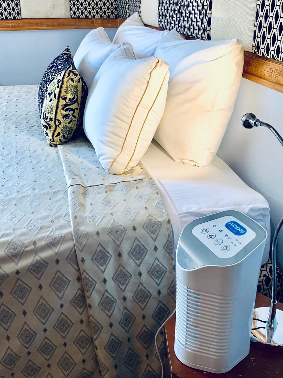 Cool Premier Apts. - Airport/SGU Apartment in True Blue